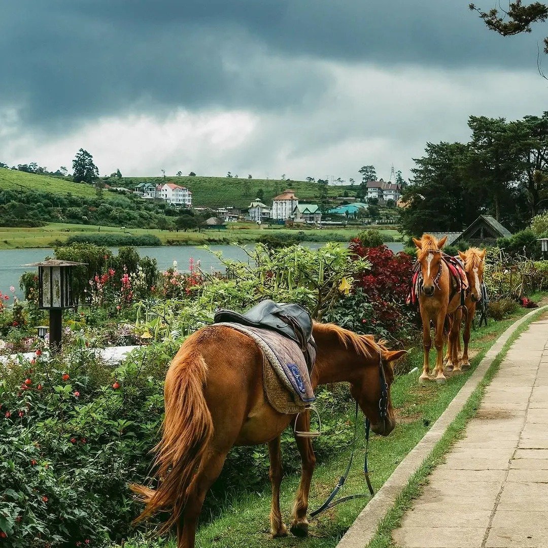 Nuwara Eliya City