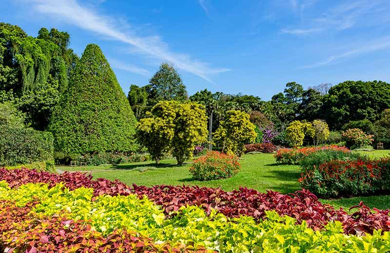 Royal Botanical Gardens