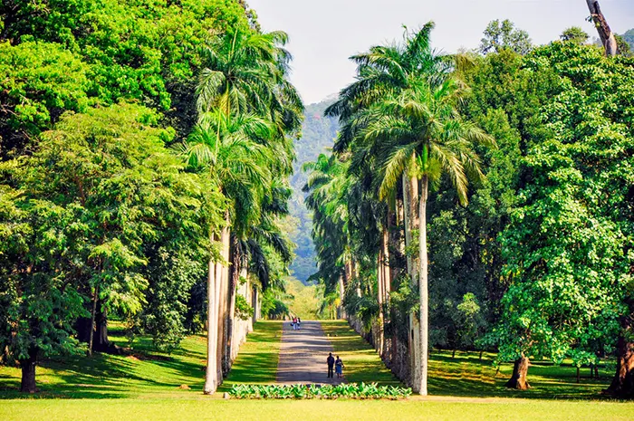Kandy Gardens