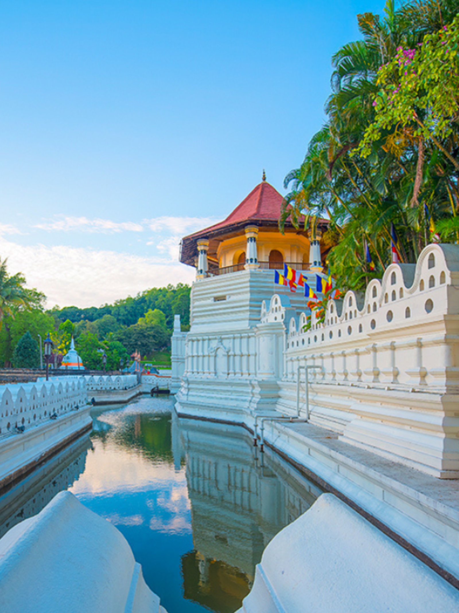 Kandy View