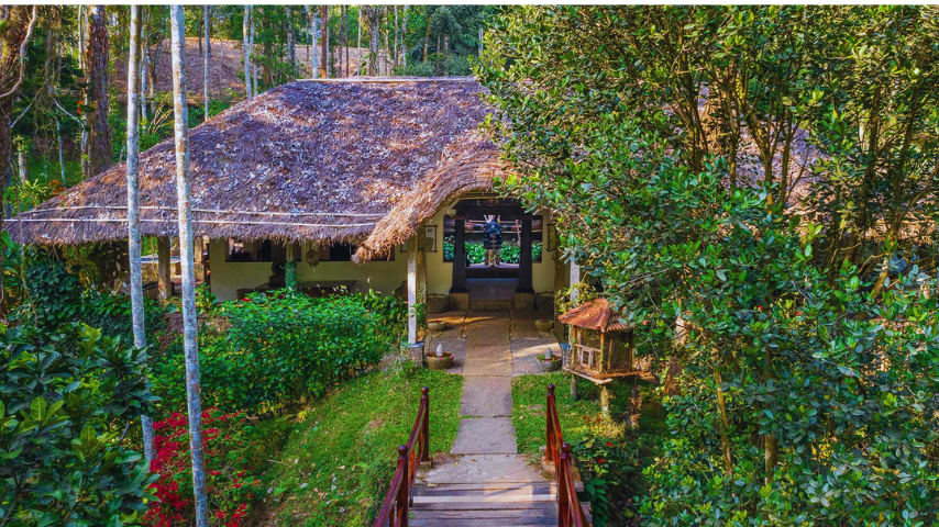Dambulla or Habarana