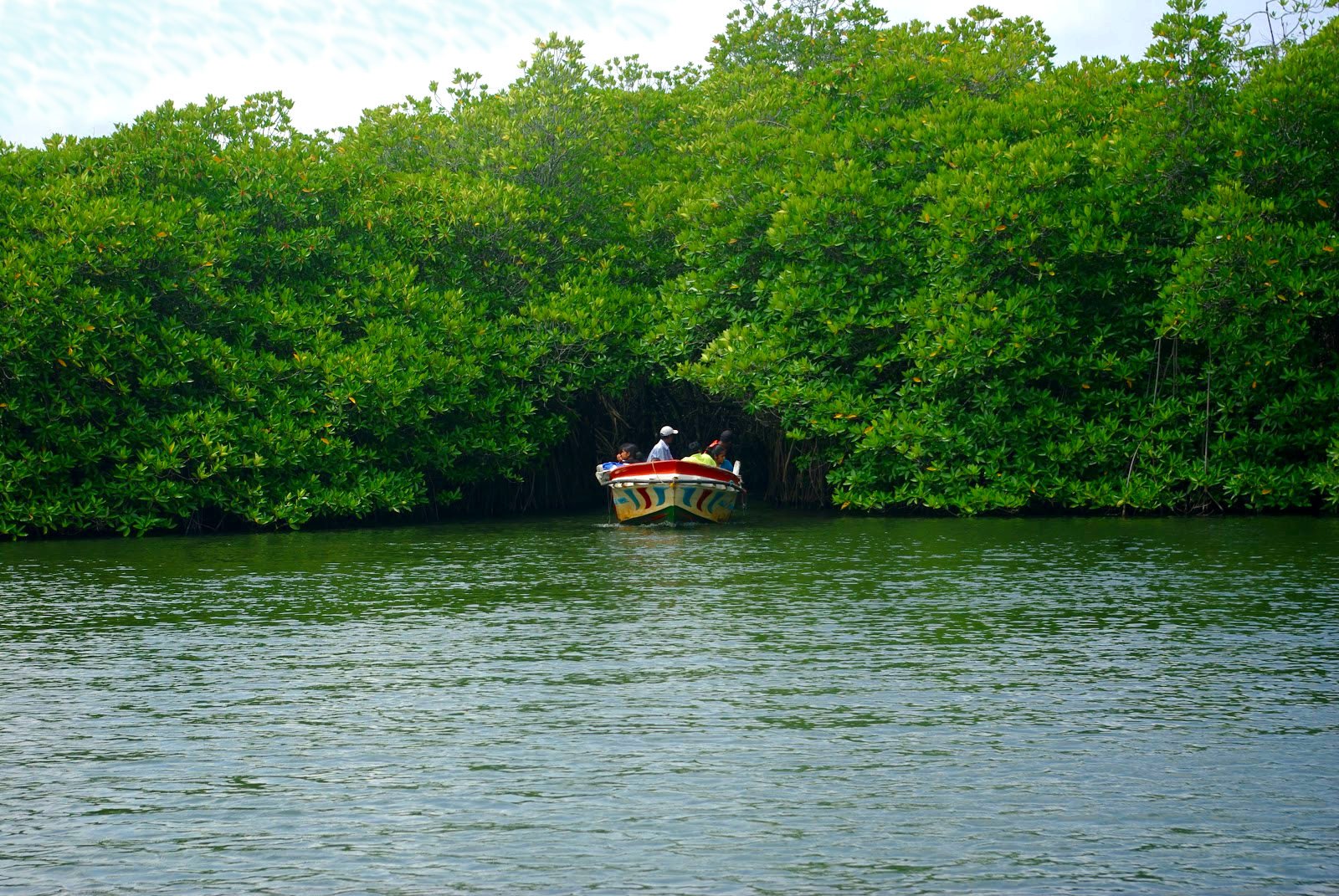 Madu River Safari