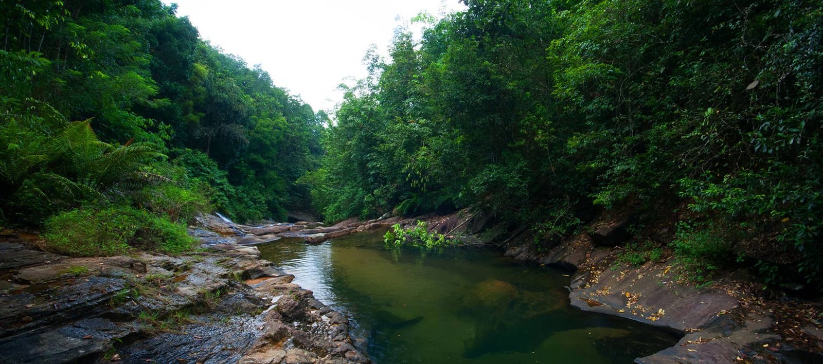 Kitulgala Scenery