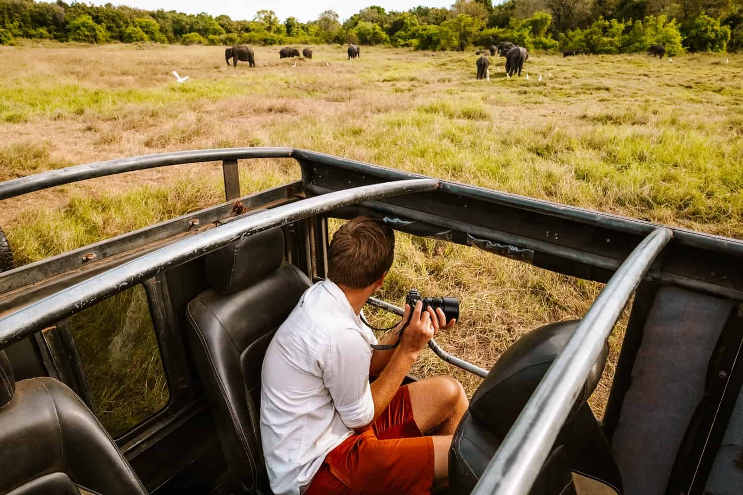 Sri Lanka Wildlife Safari