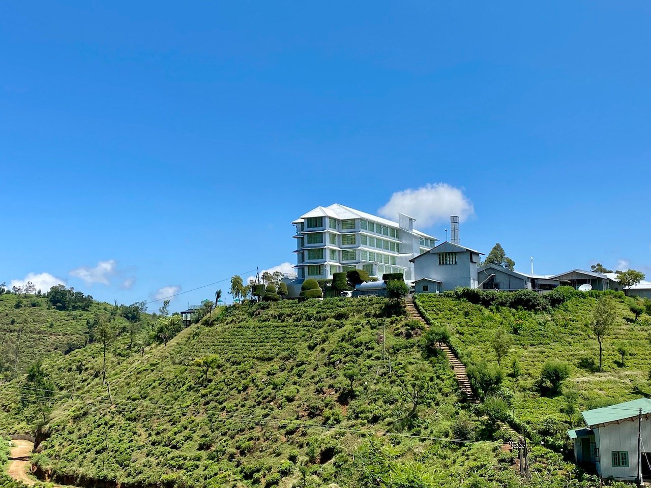 Tea Factory